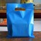 100 PCS Plastic Party Favor Bags Small Gift Bags, 6" x 8" Goodie Bags for Kids, Rainbow Party Gift Bags Bulk with Handle for Kids Birthday Party, Easter, Christmas, Halloween, 10 Colors